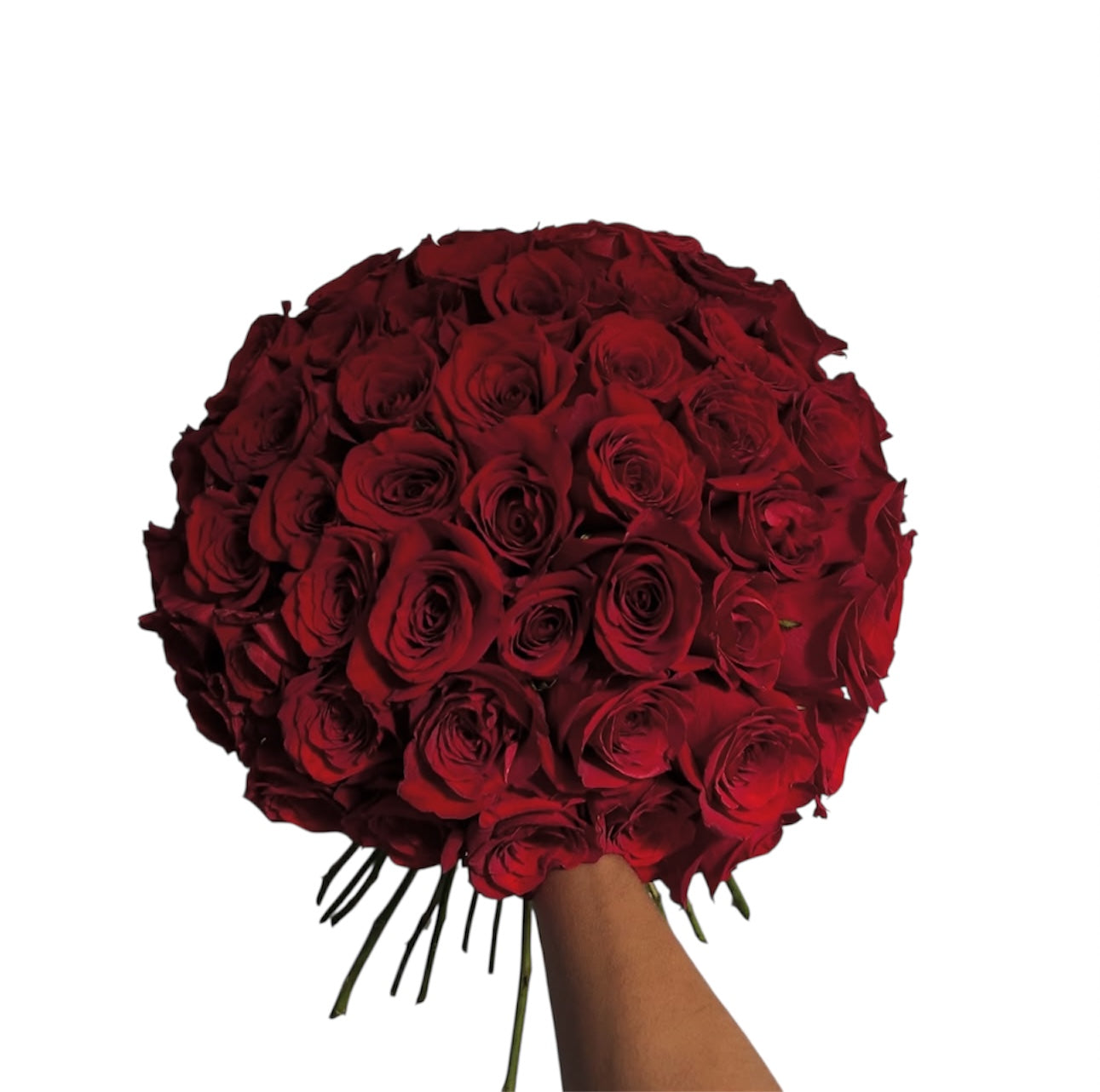 The Whispering Rose