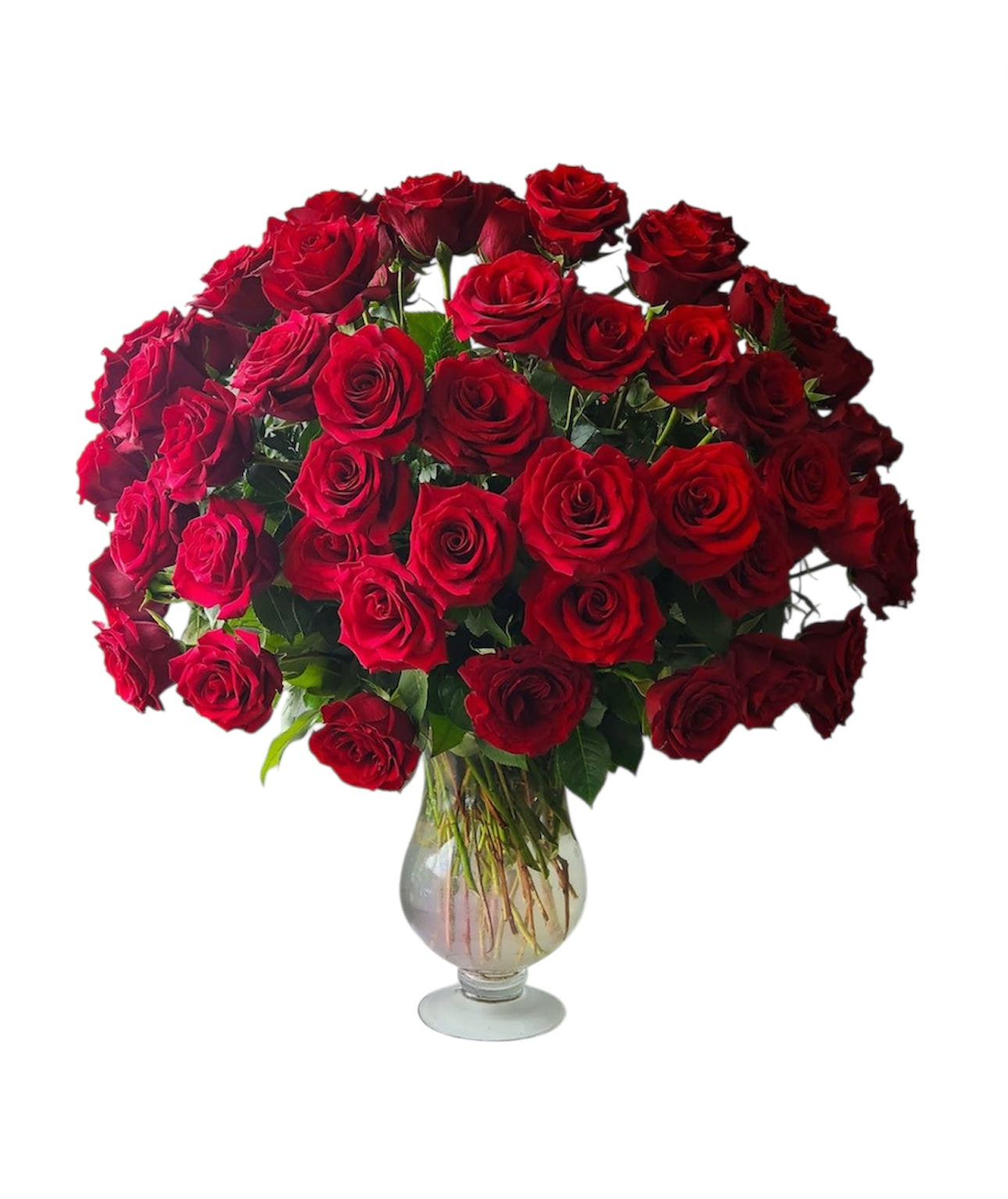 Birthday Roses & Wishes