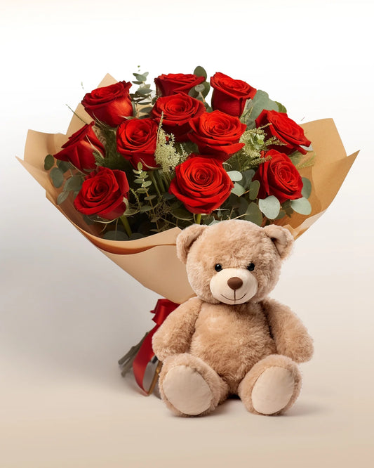 The Apology Bundle