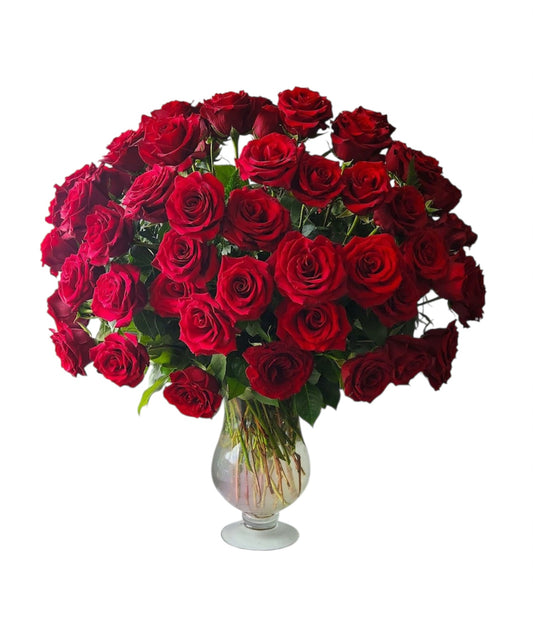 Birthday Roses & Wishes